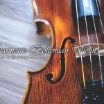 Virharmonic Bohemian Violinがすごい楽しい！