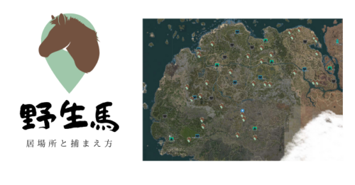 【黒い砂漠】野生馬の居場所と捕まえ方