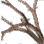 d221b15335b20250813163057107