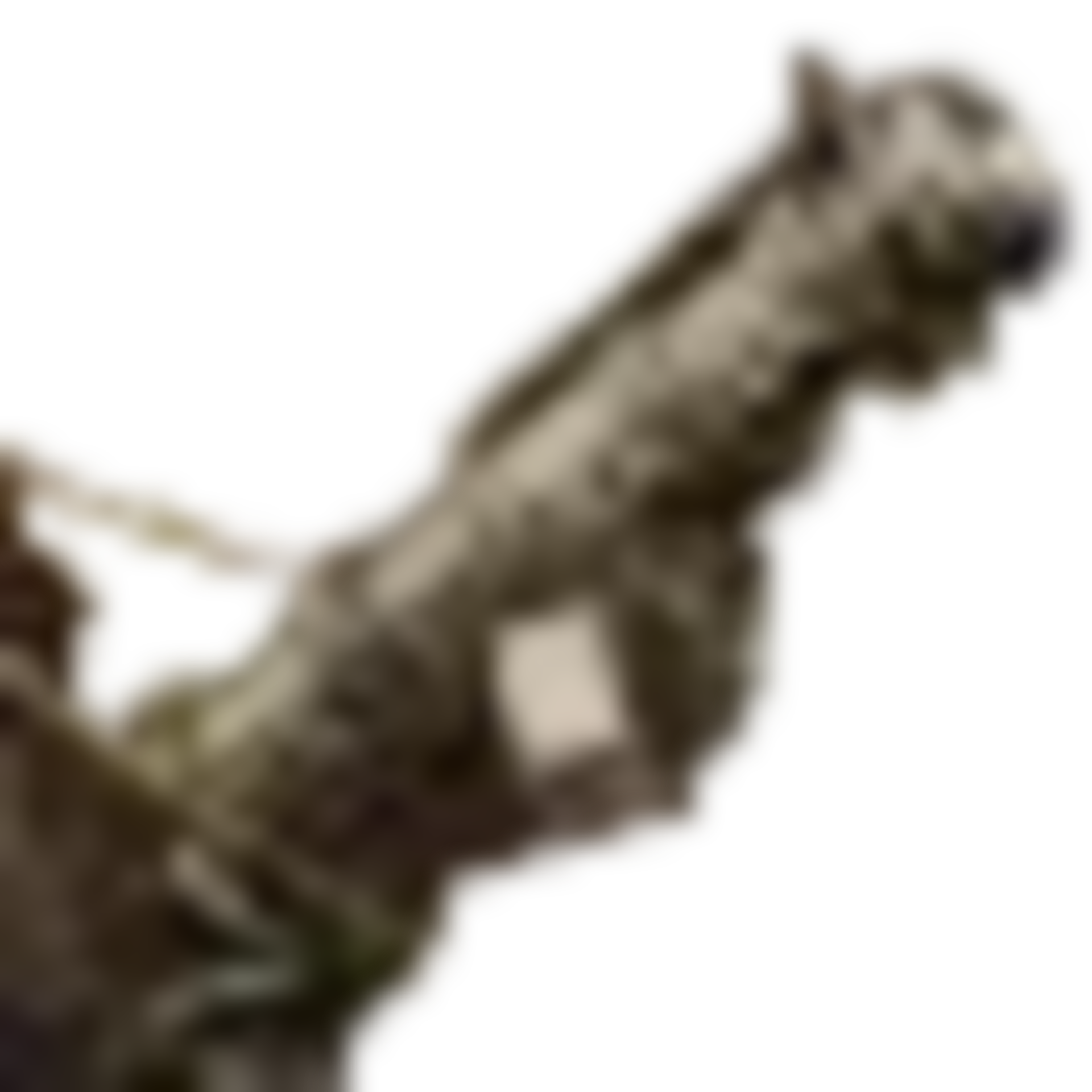 92f31f125ed20251017120837219