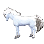 19301ec054320251219151910415