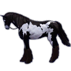 1_3f72aac0e2820251219151903886