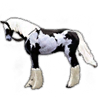 1_9c4172be83920251219152004596