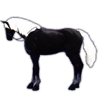 1_bc3a160f9f920251219151959043