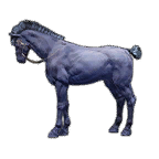 1_c3c7f92a88f20251219151948707