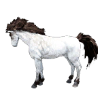 25a01c4a98120251219151918187