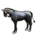 cafe8577f7420251219151842675