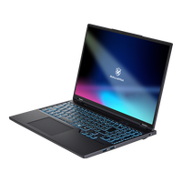 GALLERIA ZL9C-R57T-6A