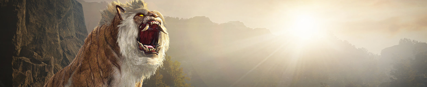 40b86965a1420260130142451158