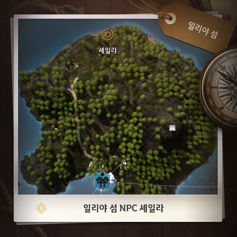 786431bb06d20260220134831901