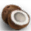 1_19f5103027b20260515145933169