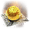 c25c37e059f20260731155135231